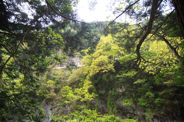 0429nonoshita04.jpg