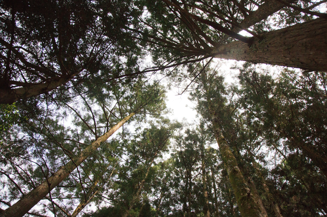 0429nonoshita06.jpg