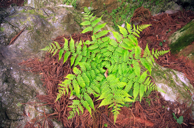 0429nonoshita13.jpg