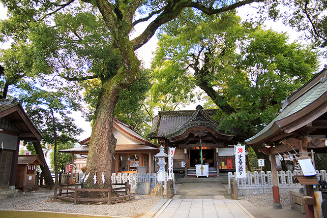 1031nishimori 3.jpg